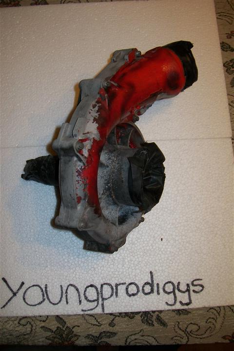 100_3170.JPG